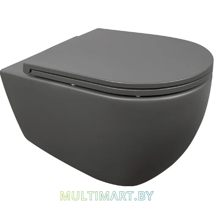 Унитаз Isvea Infinity 10NF02001